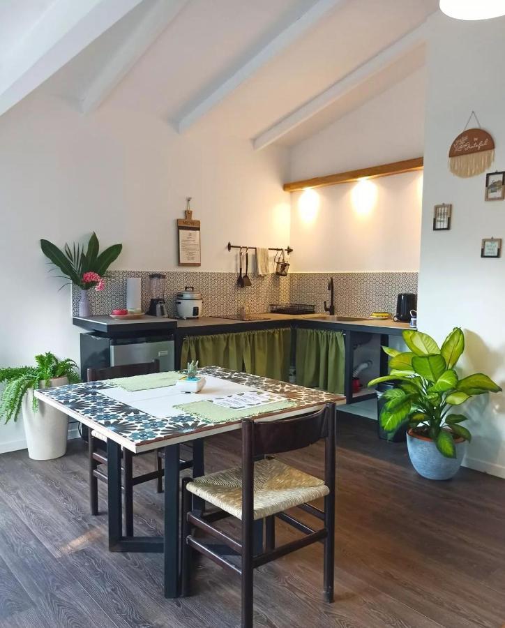 Chilamate Holiday House Puerto Viejo de Talamanca Ngoại thất bức ảnh