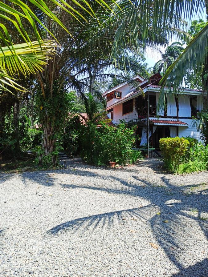 Chilamate Holiday House Puerto Viejo de Talamanca Ngoại thất bức ảnh