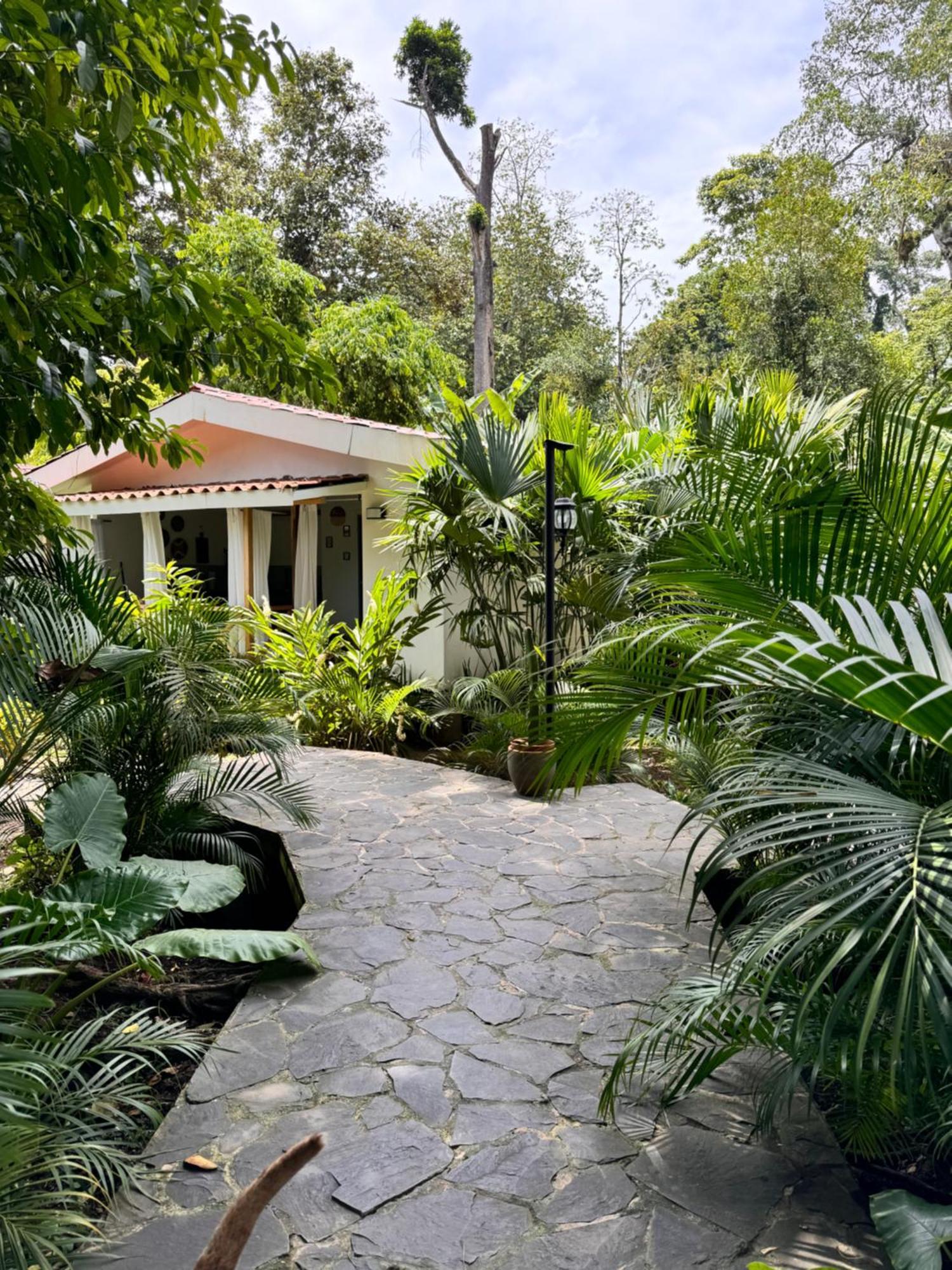 Chilamate Holiday House Puerto Viejo de Talamanca Ngoại thất bức ảnh