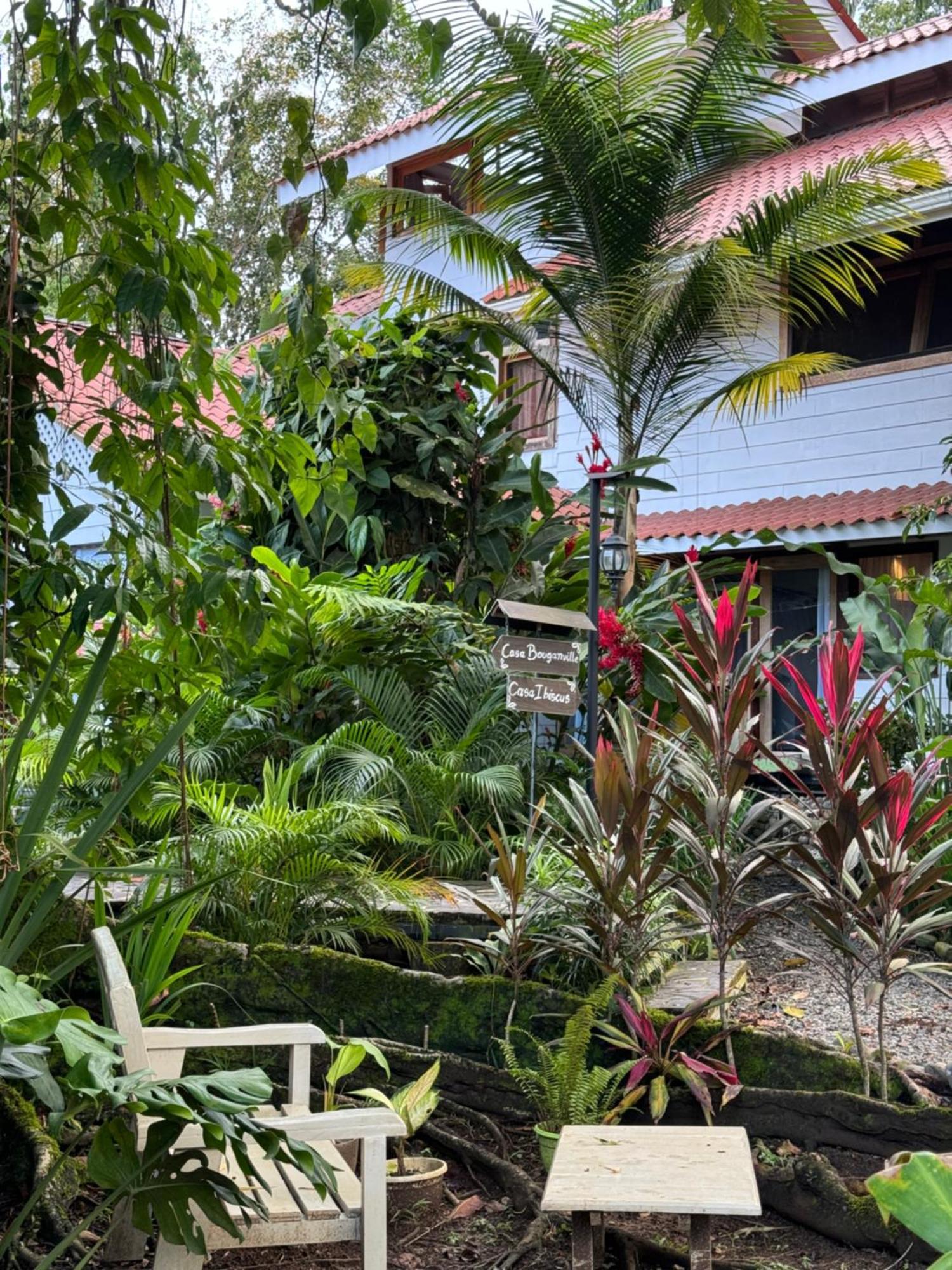 Chilamate Holiday House Puerto Viejo de Talamanca Ngoại thất bức ảnh