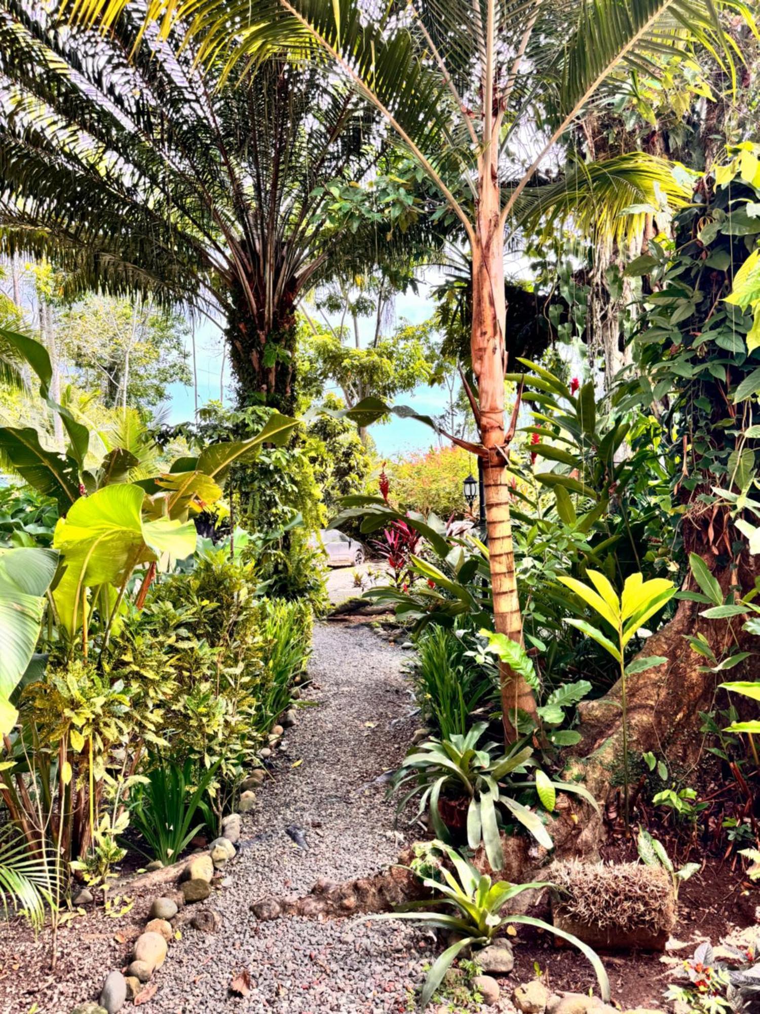 Chilamate Holiday House Puerto Viejo de Talamanca Ngoại thất bức ảnh