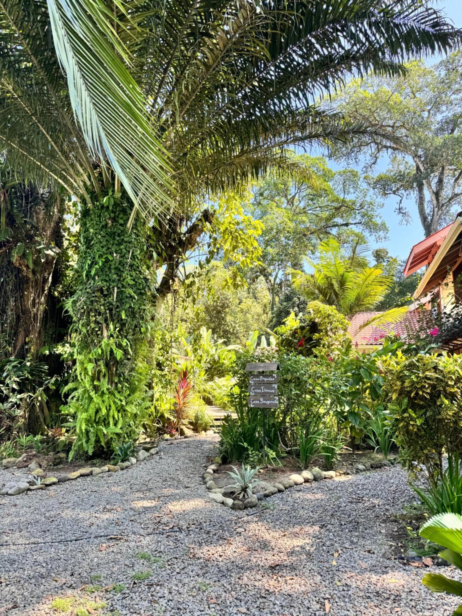 Chilamate Holiday House Puerto Viejo de Talamanca Ngoại thất bức ảnh