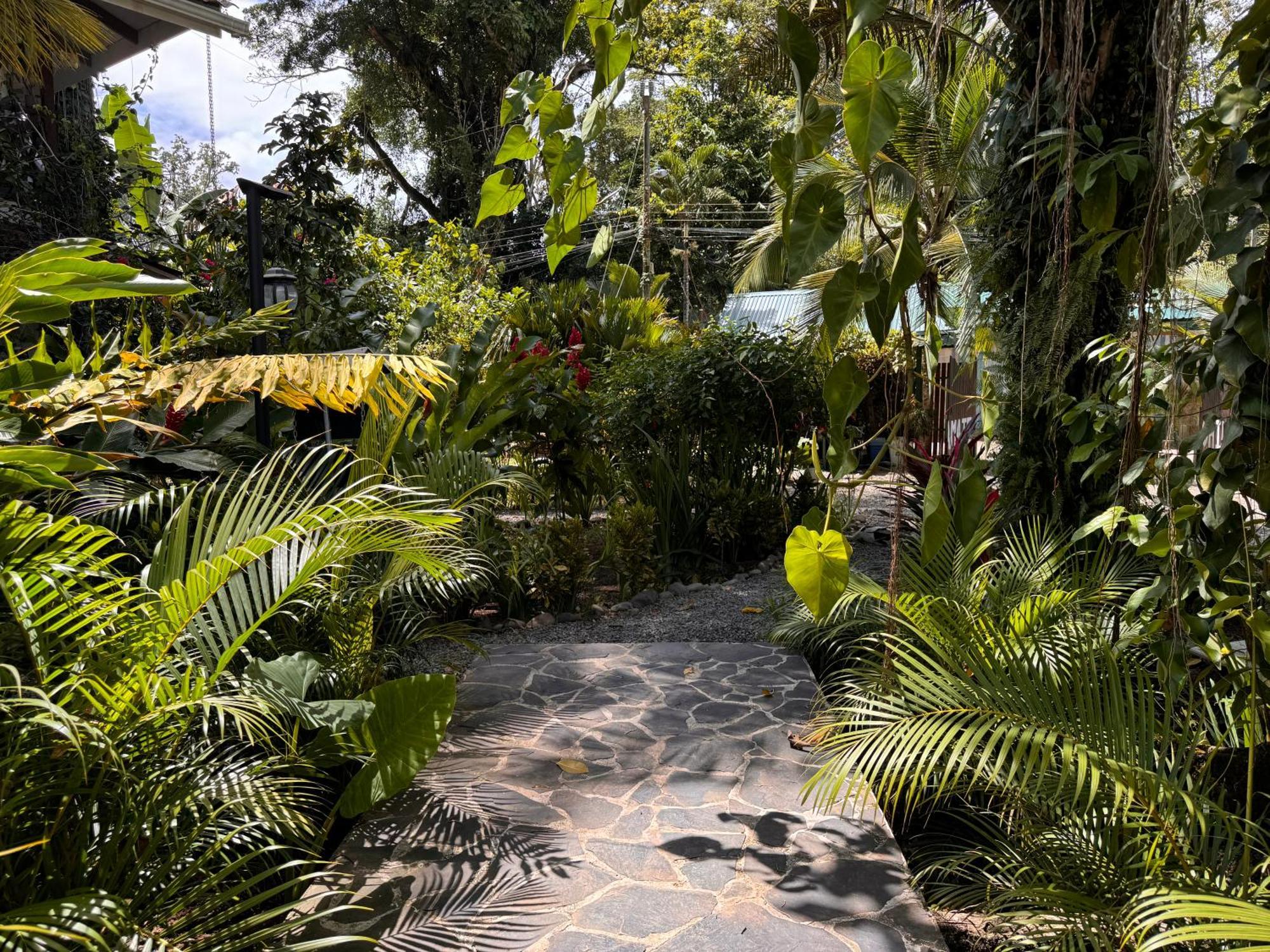 Chilamate Holiday House Puerto Viejo de Talamanca Ngoại thất bức ảnh