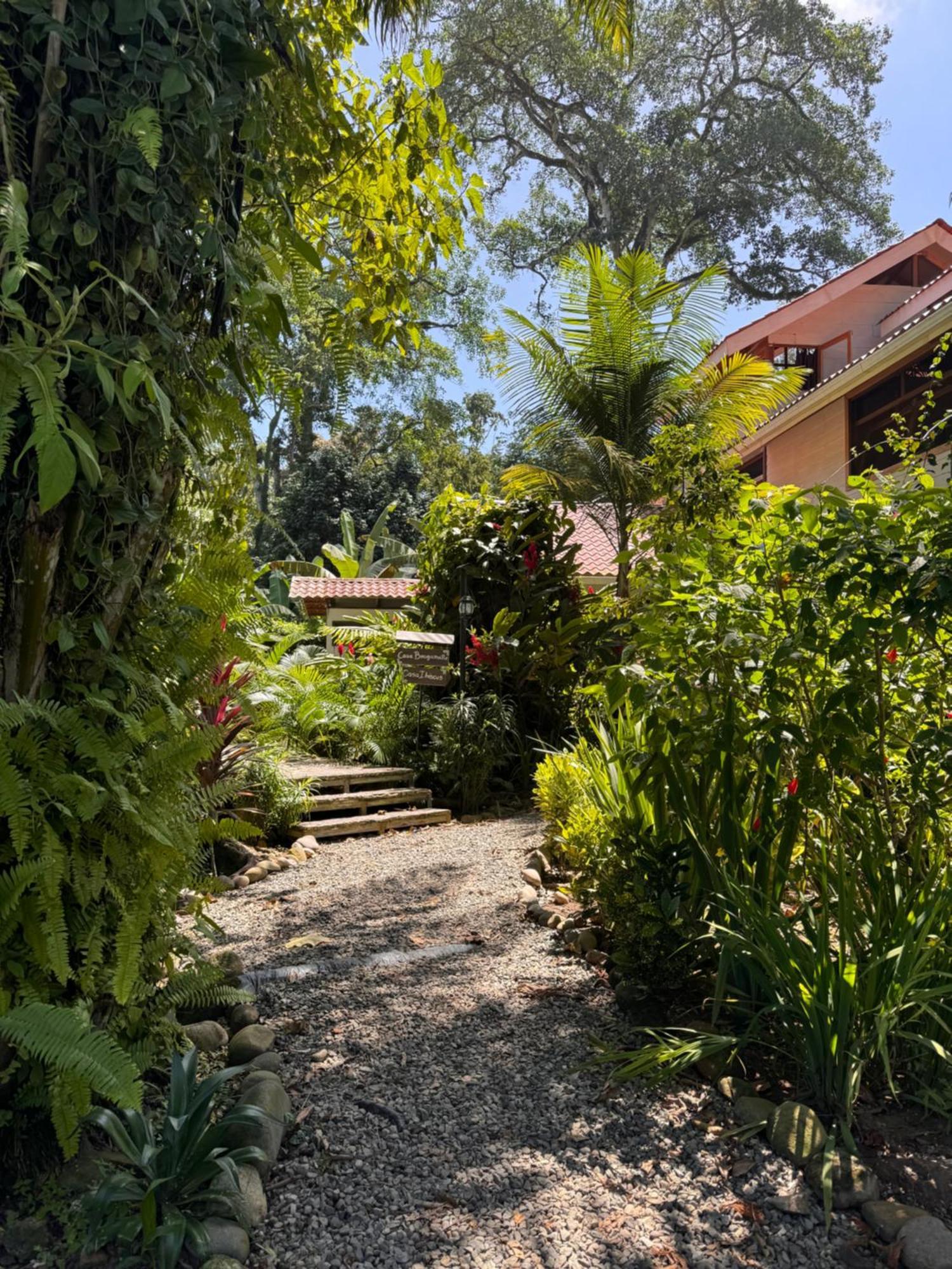 Chilamate Holiday House Puerto Viejo de Talamanca Ngoại thất bức ảnh
